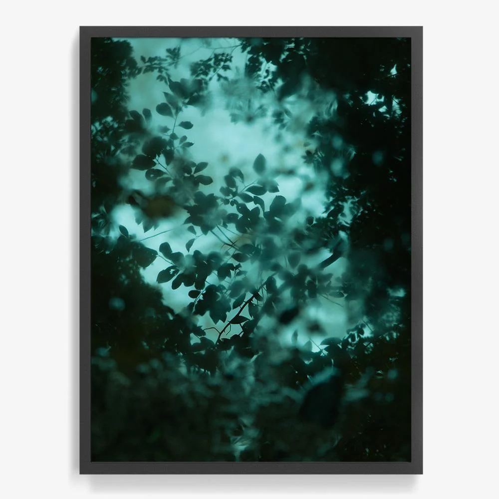 Diffusion - Image 20