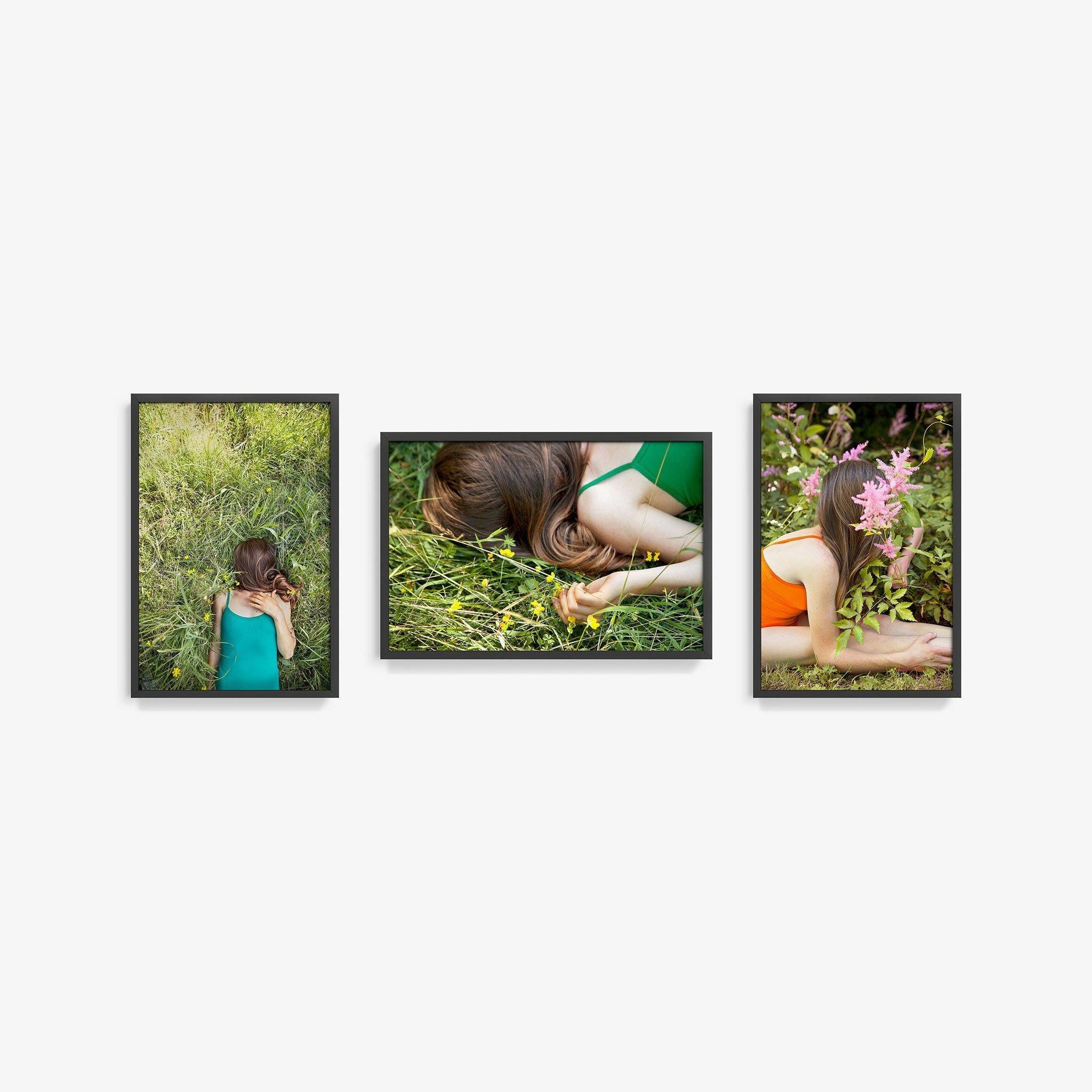 Edelweiss (Triptych) - Image 13