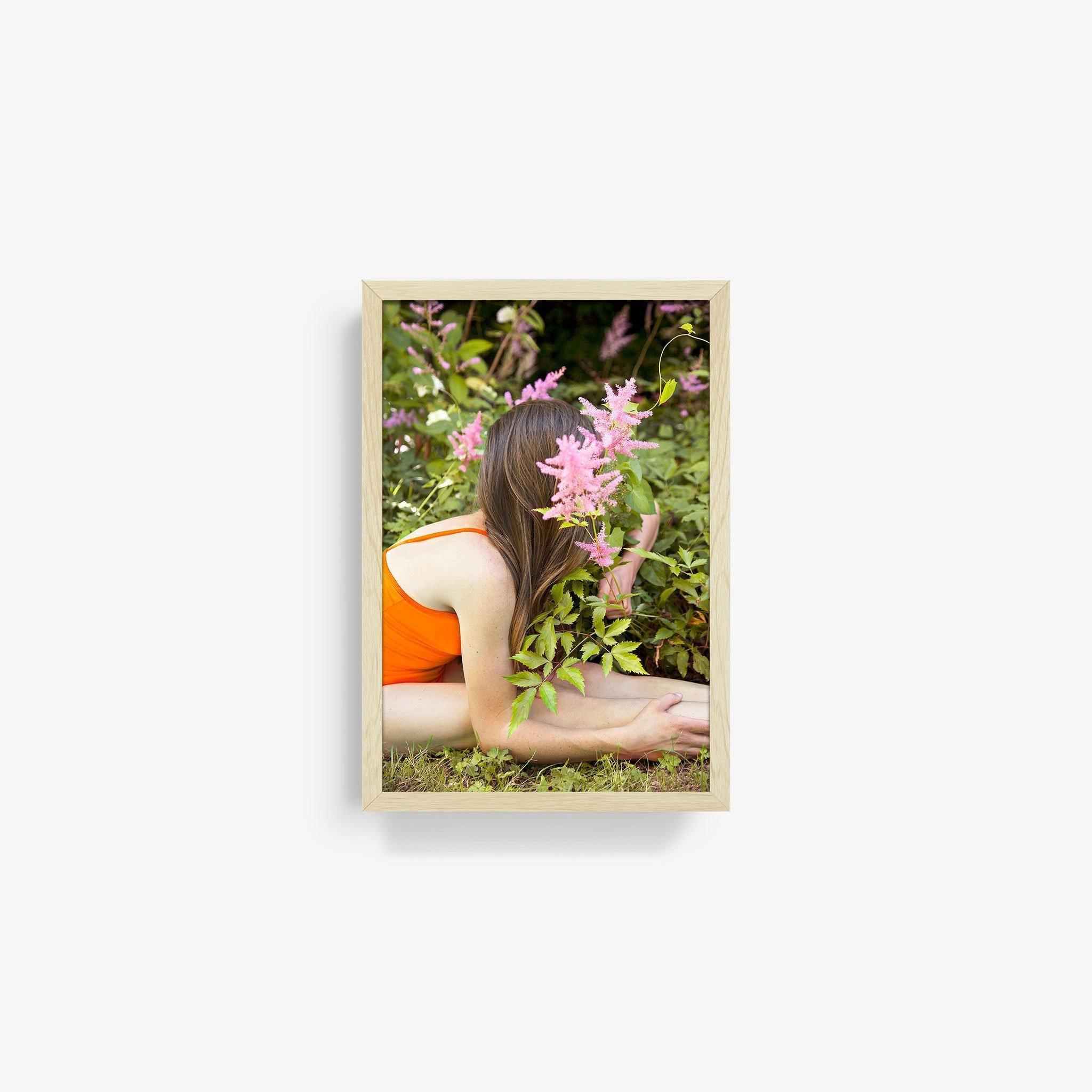 Edelweiss II - Image 9