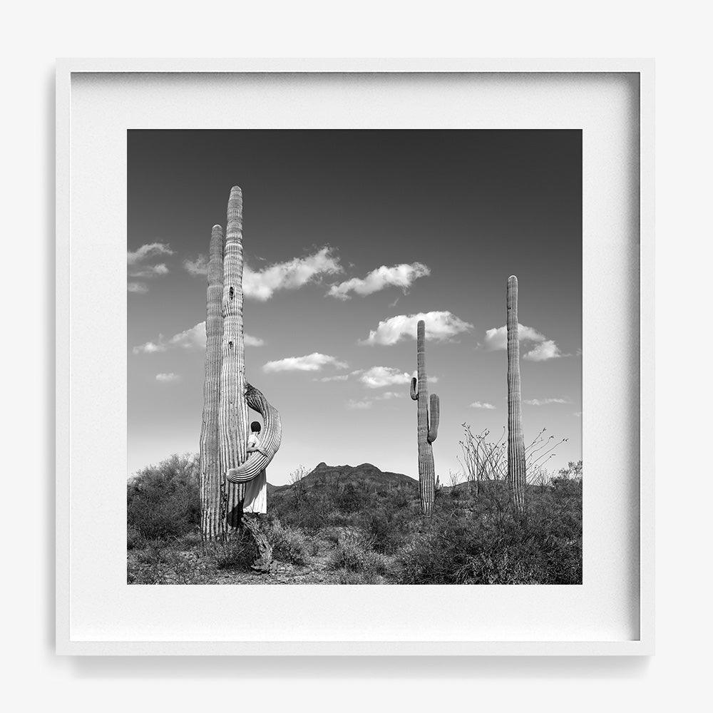 Embrace - Image 14
