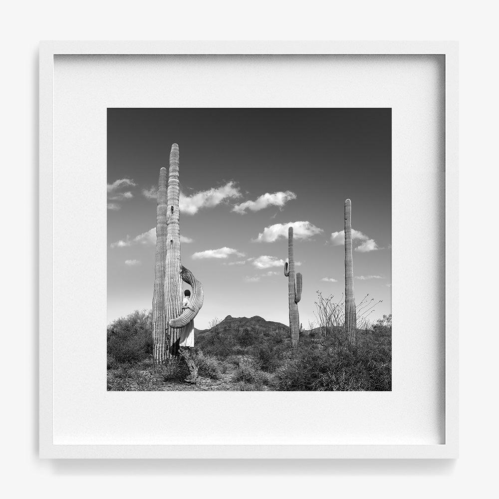 Embrace - Image 6