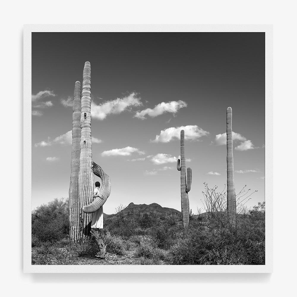 Embrace - Image 8