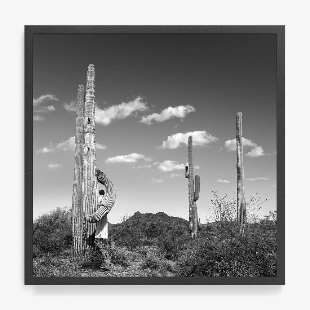 Embrace - Image 9