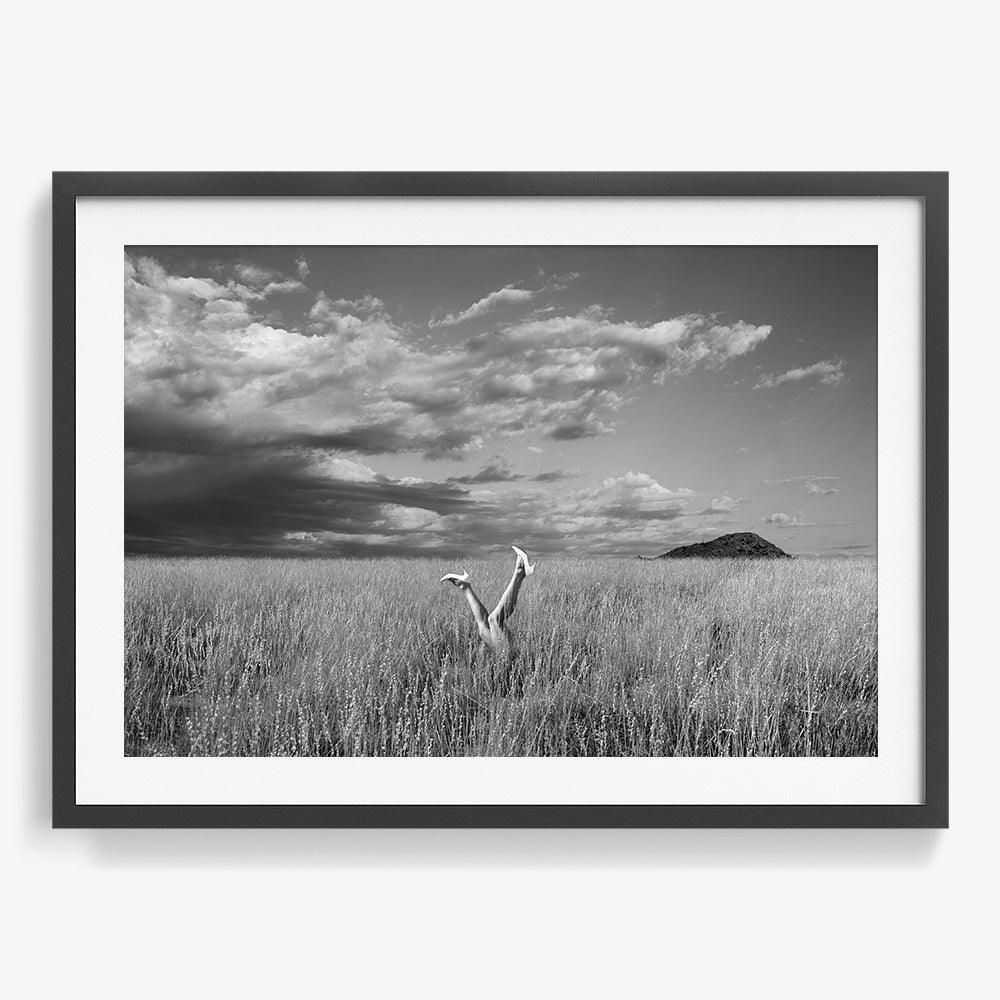 Field - Image 14