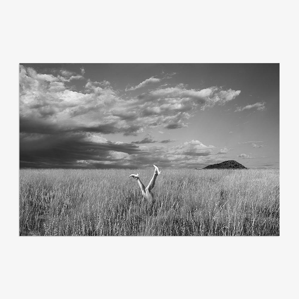 Field - Image 4