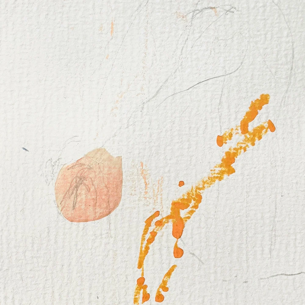 Fleeting Moments - Image 3