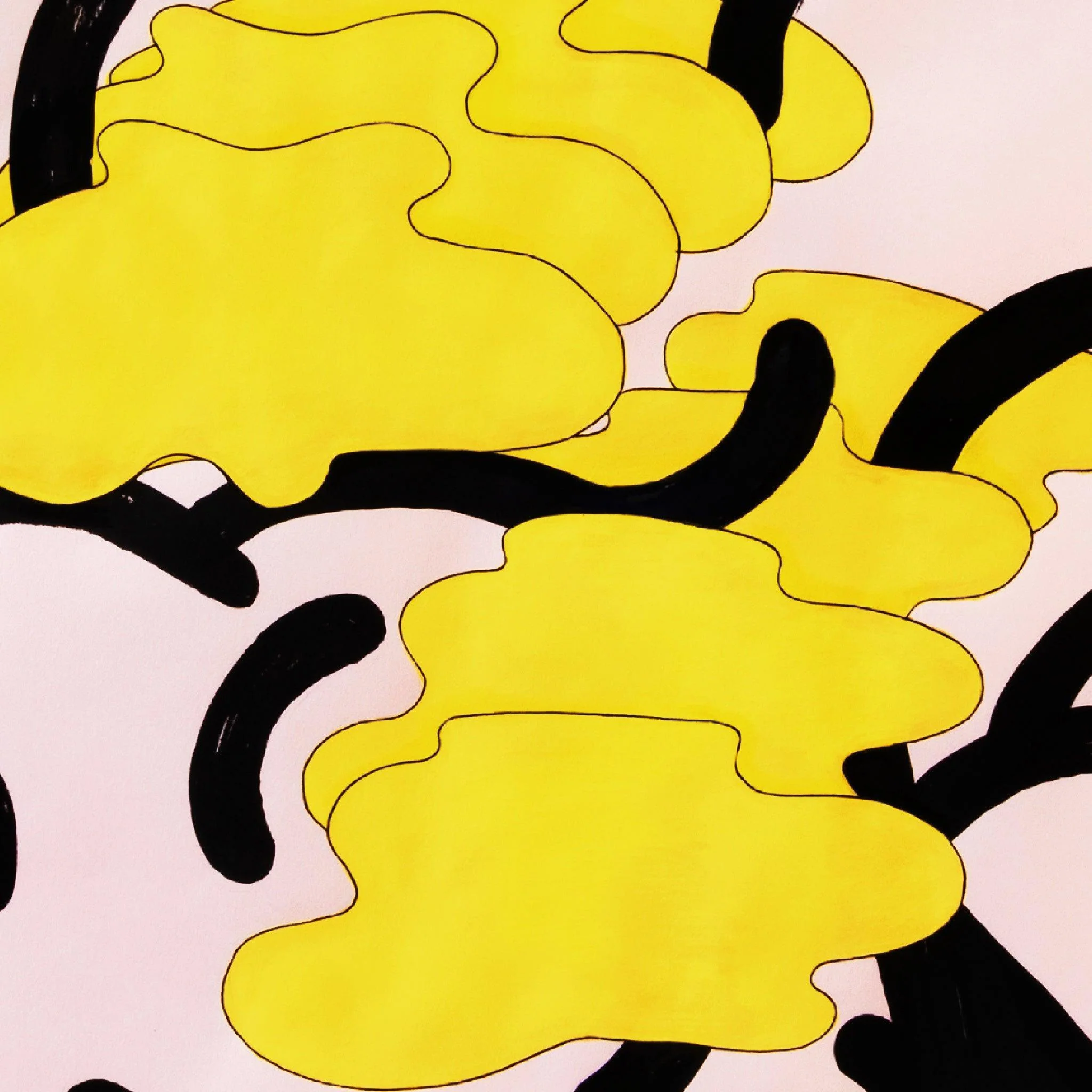 Forsythia 101 - Image 3