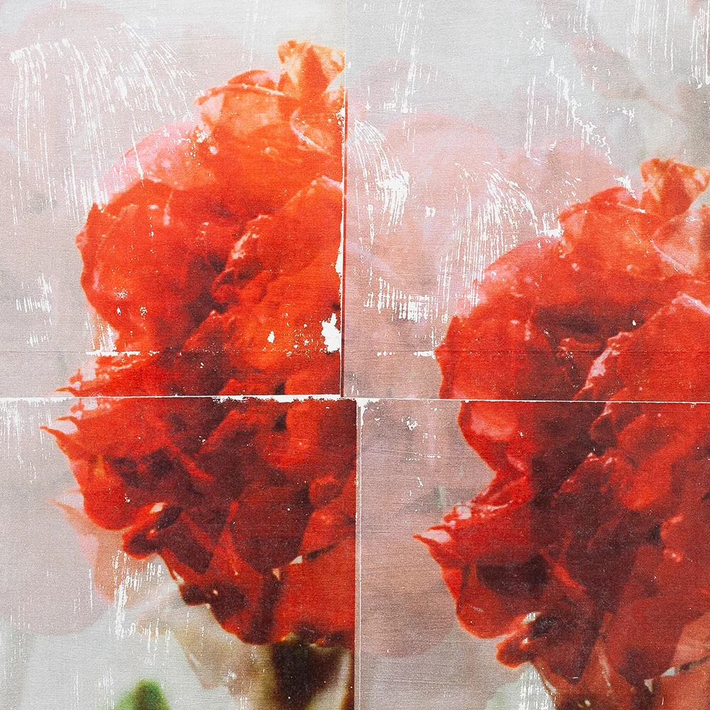 Geranium.03 - Image 3