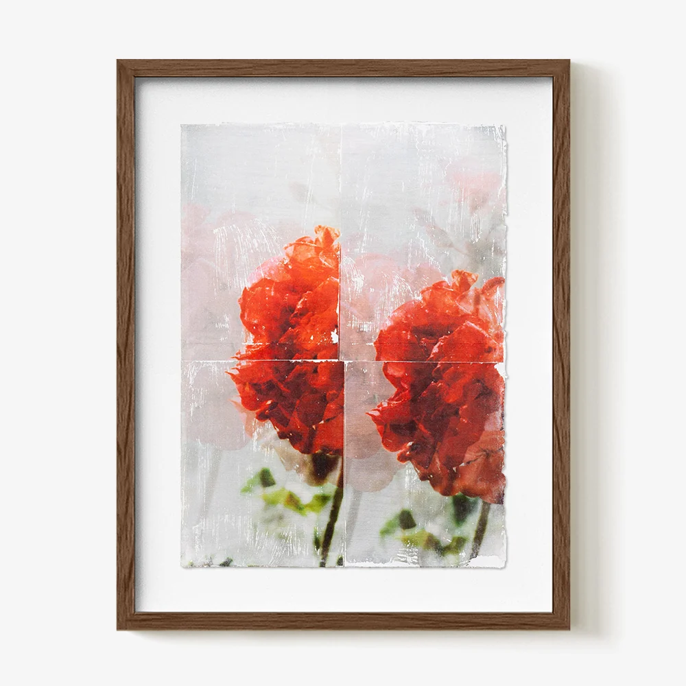 Geranium.03 - Image 4