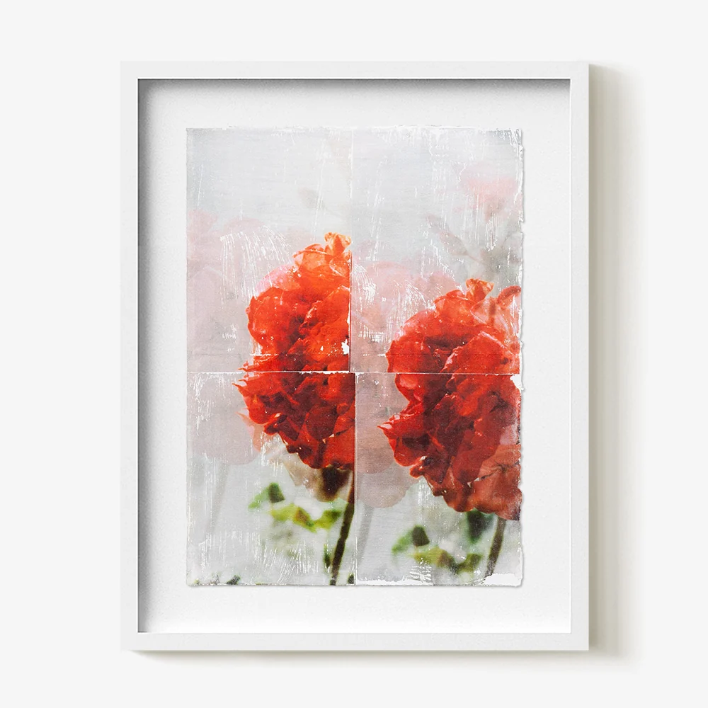 Geranium.03 - Image 5