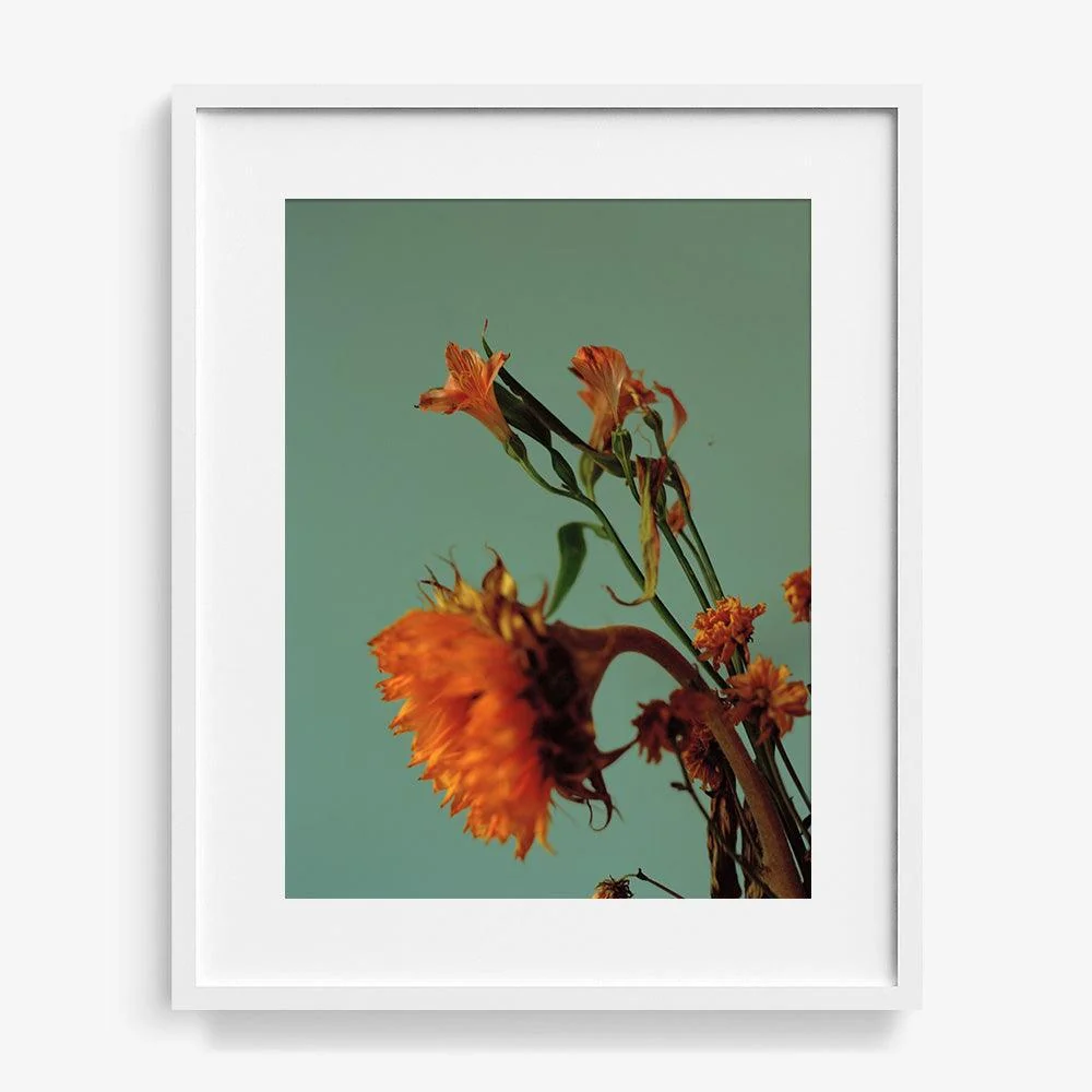 Green Road - Image 12