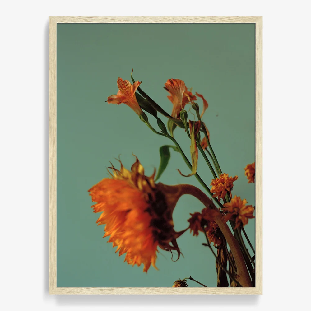 Green Road - Image 6