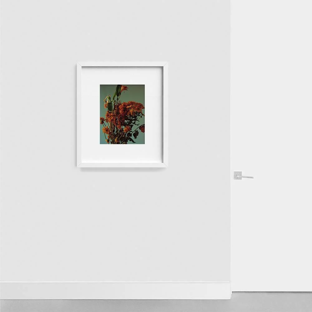 Green Road II - Image 13