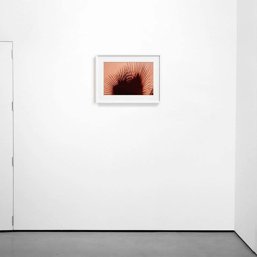 Gueliz - Image 5