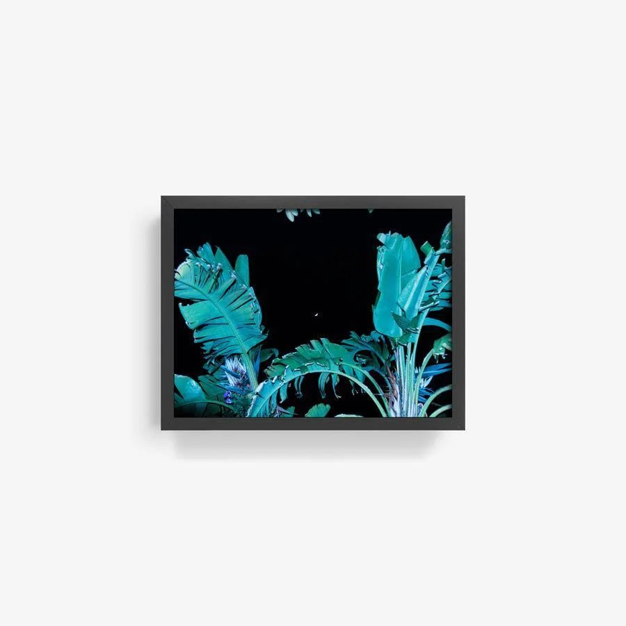 Heights - Image 6