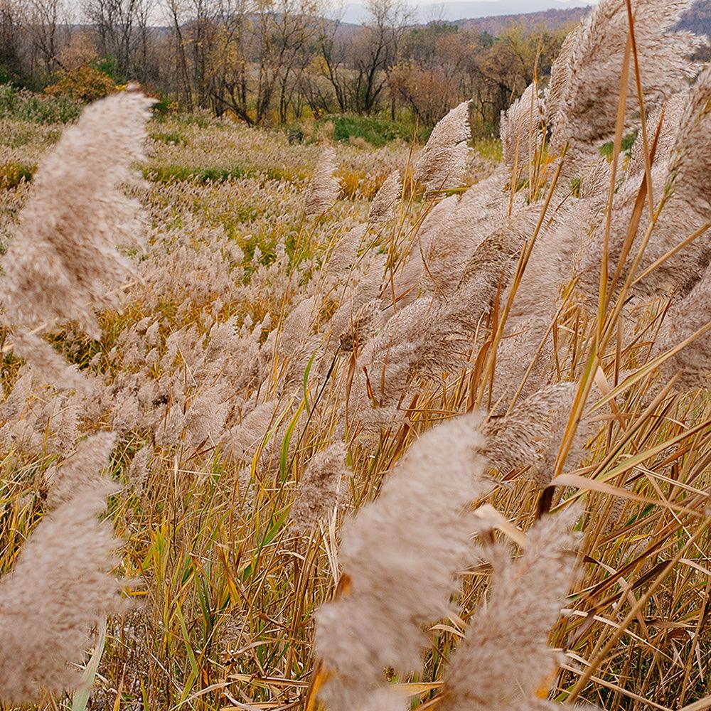 Hudson Valley - Image 12