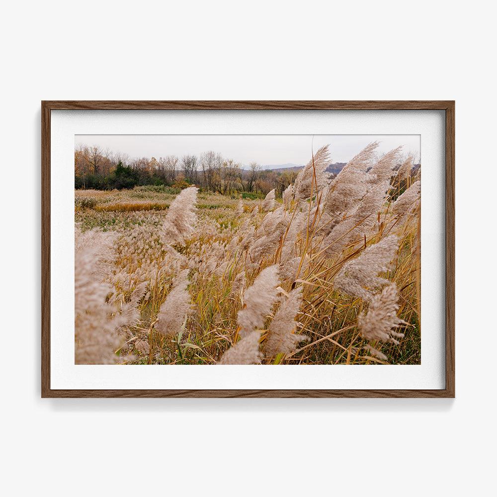 Hudson Valley - Image 7