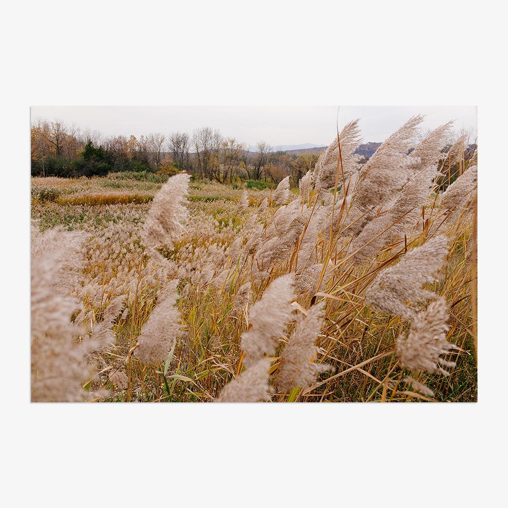 Hudson Valley - Image 9
