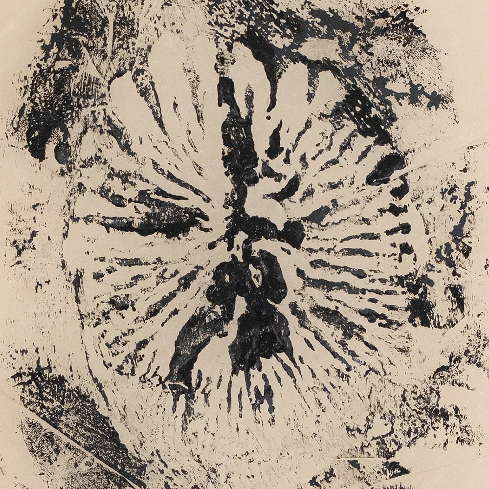 Imprint of Vashon - Image 3