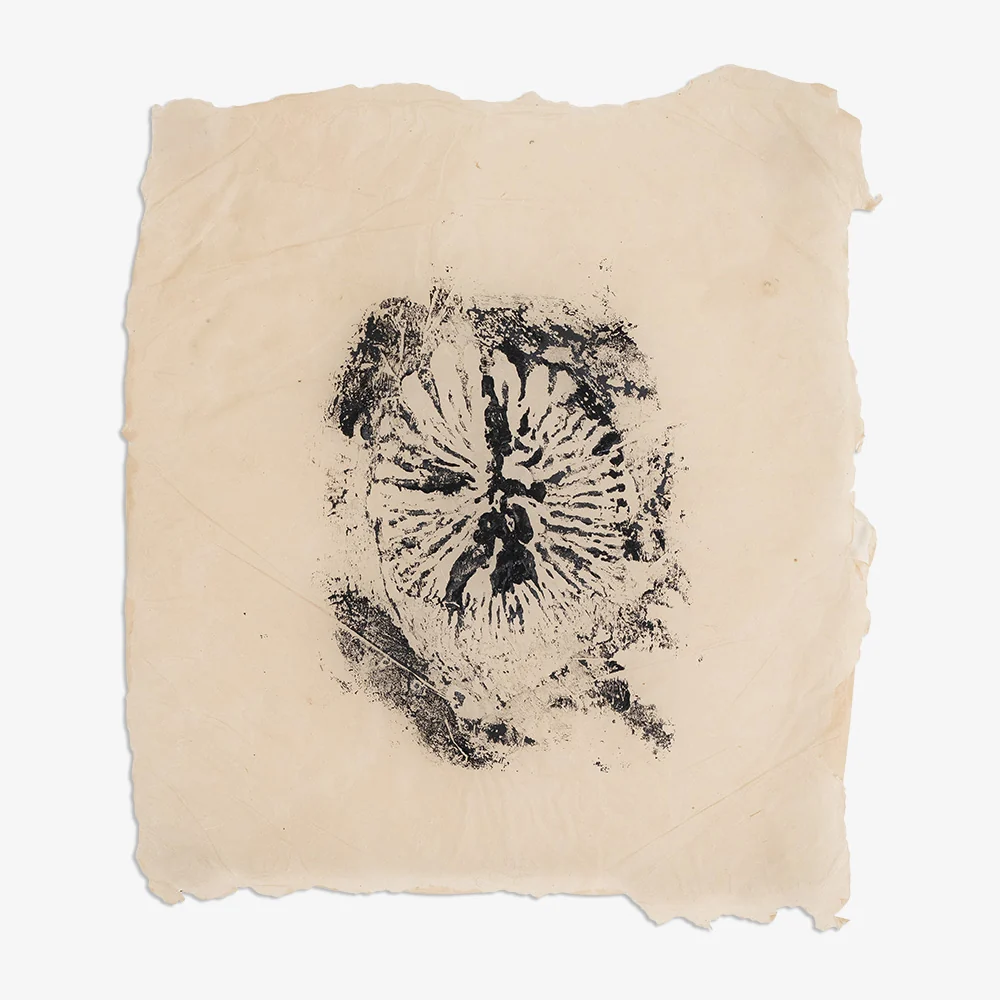 Imprint of Vashon - Image 8