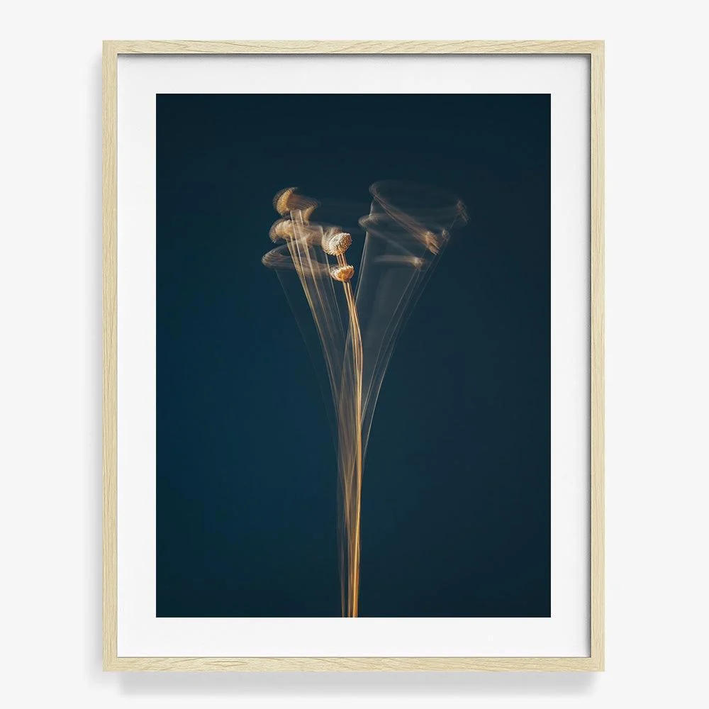 In Search of the Present 01 - Image 9