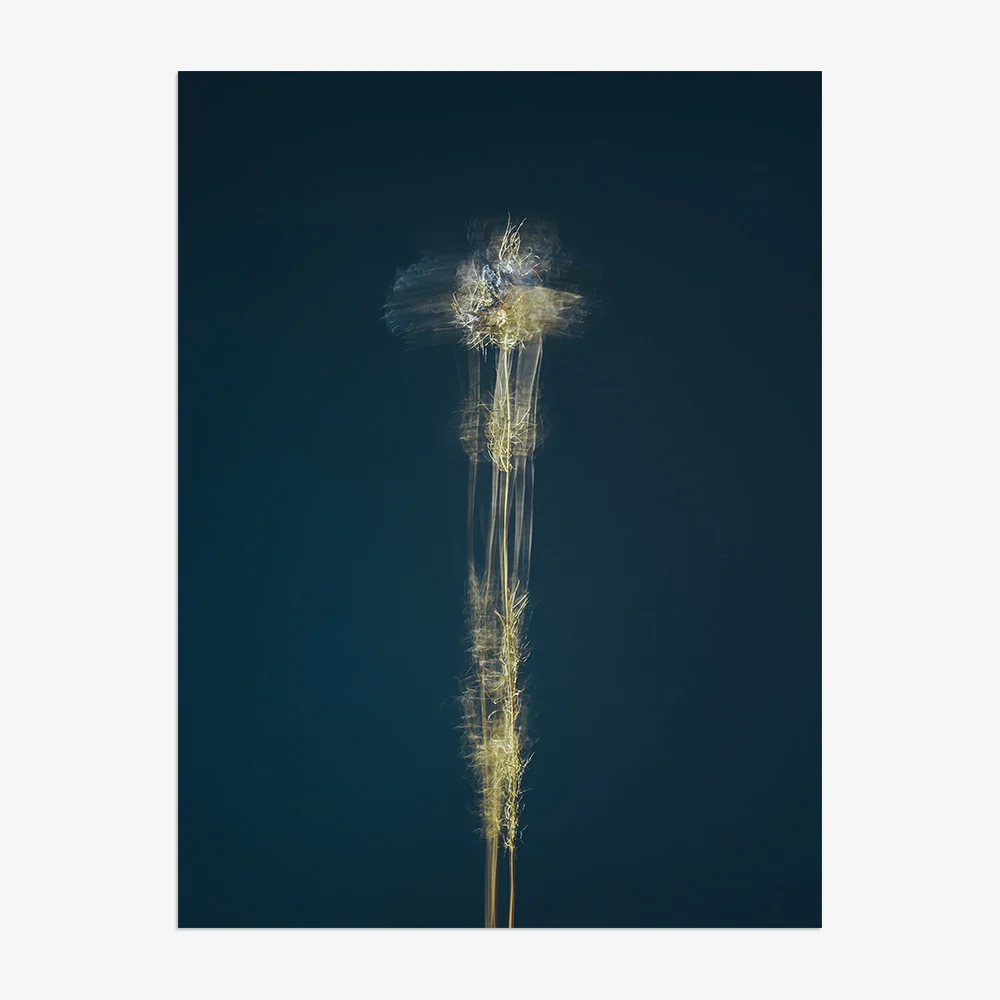 In Search Of The Present 02 - Image 11
