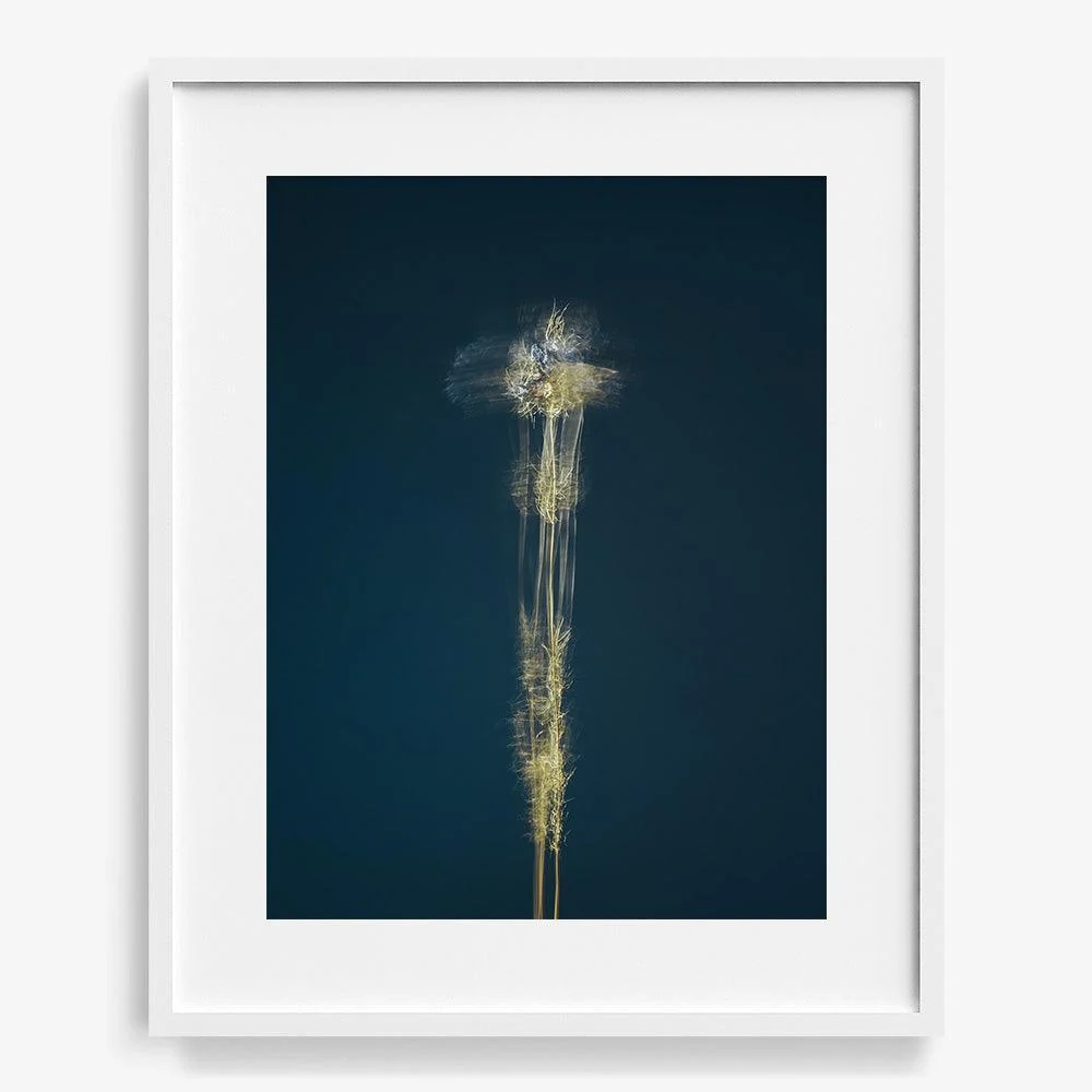 In Search Of The Present 02 - Image 27