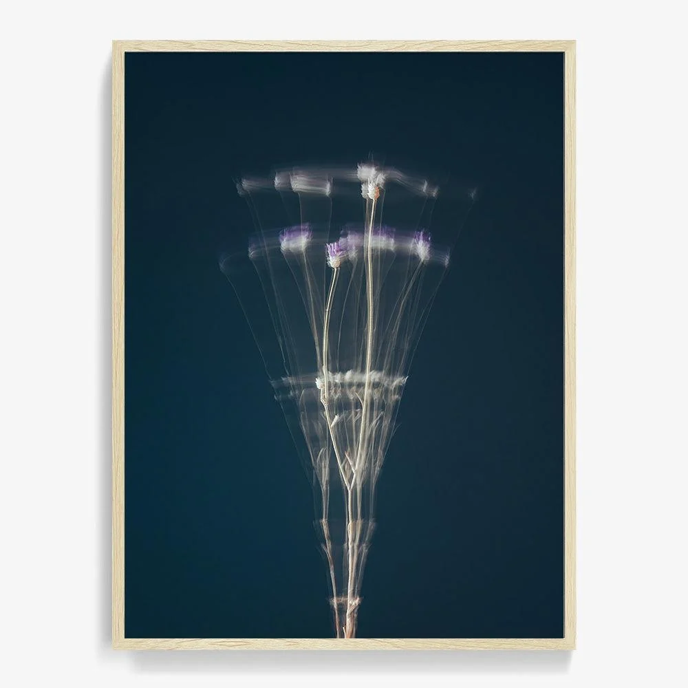 In Search Of The Present 09 - Image 18