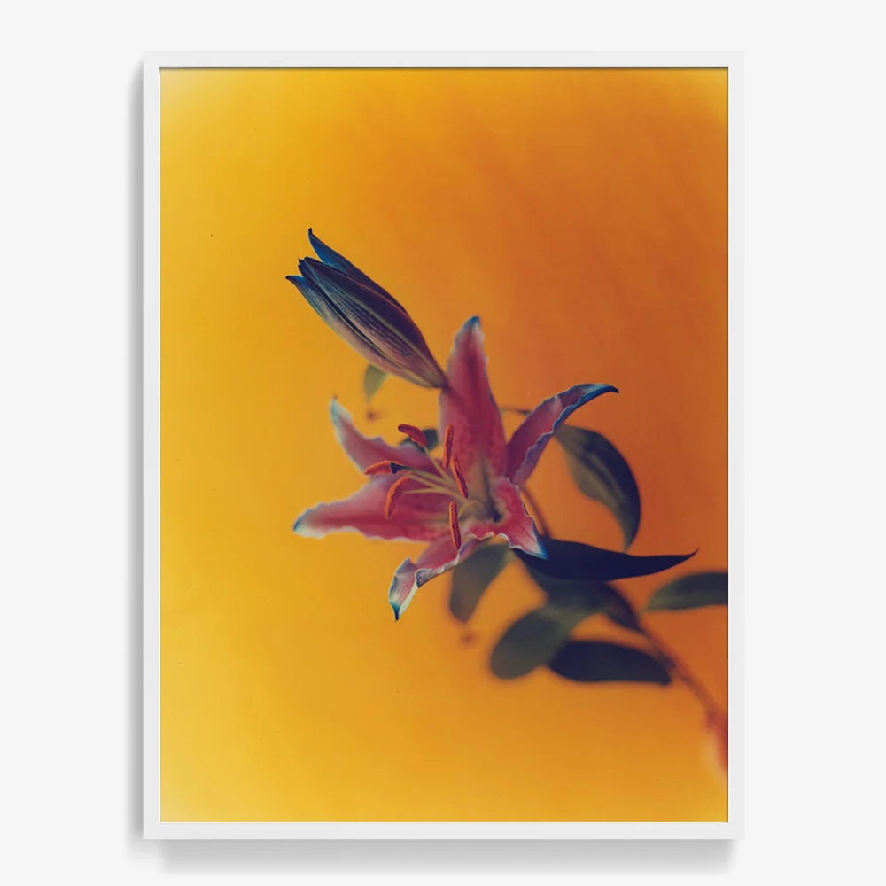 In The Kitchen - Image 15