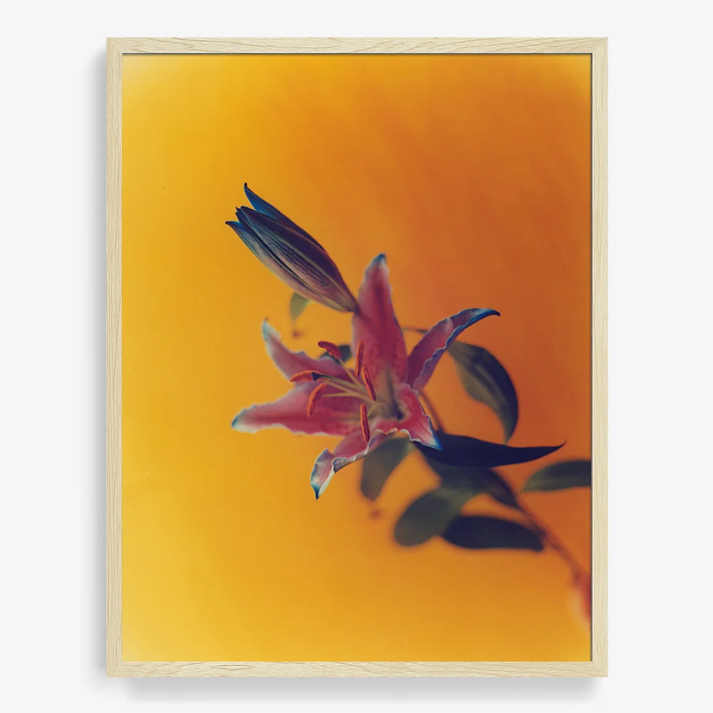 In The Kitchen - Image 8