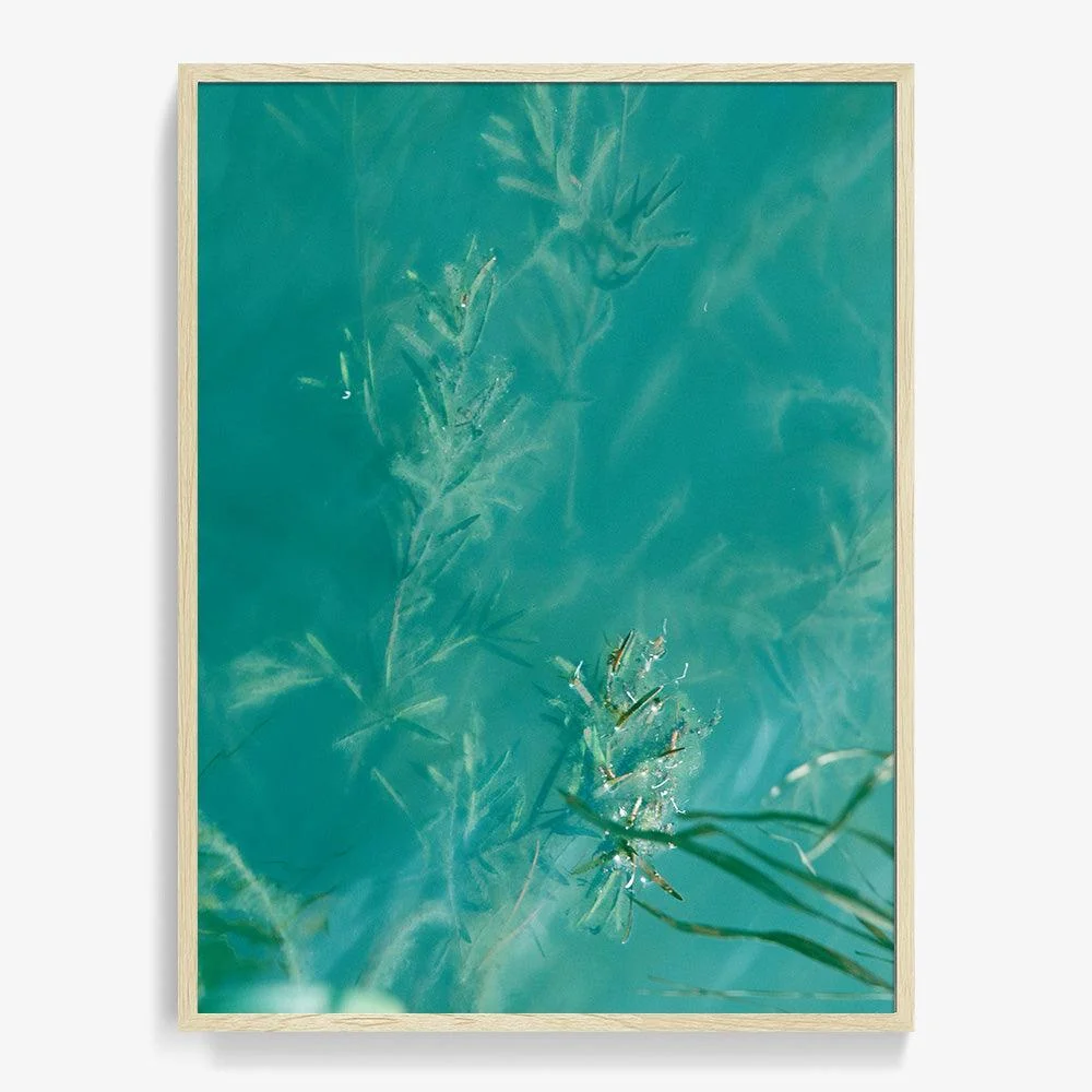Ingress - Image 17