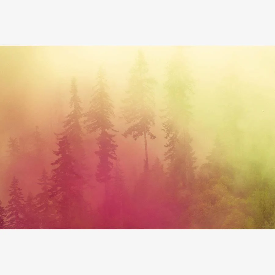 Inner Weather 15 - Image 3