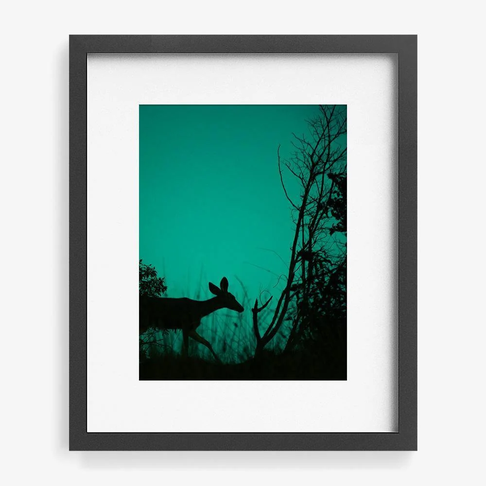 Interlude - Image 5
