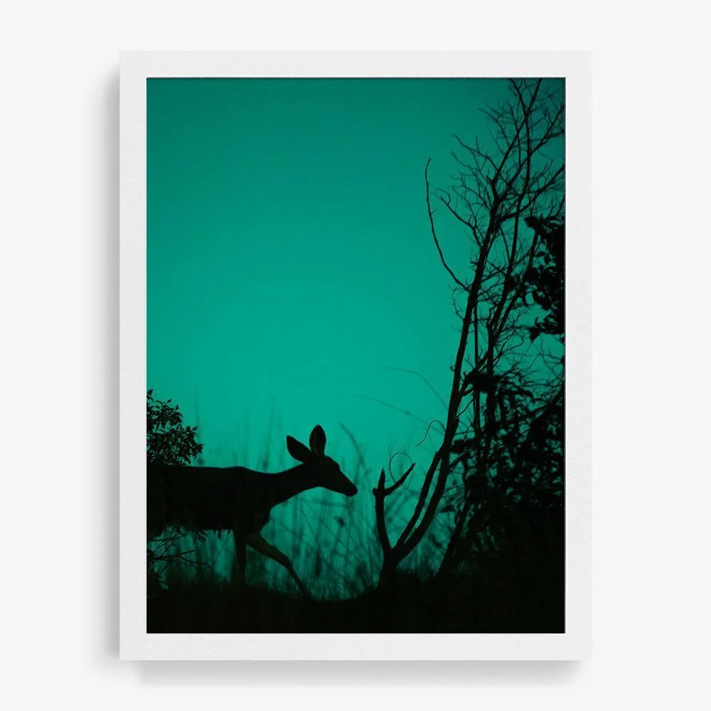 Interlude - Image 8