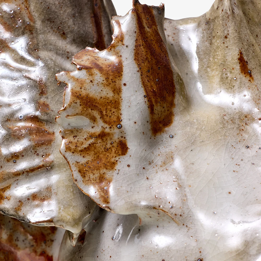 Iris N.4 - Image 12