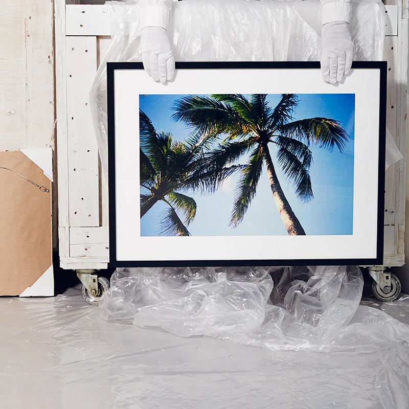 Blue Palm - Image 2