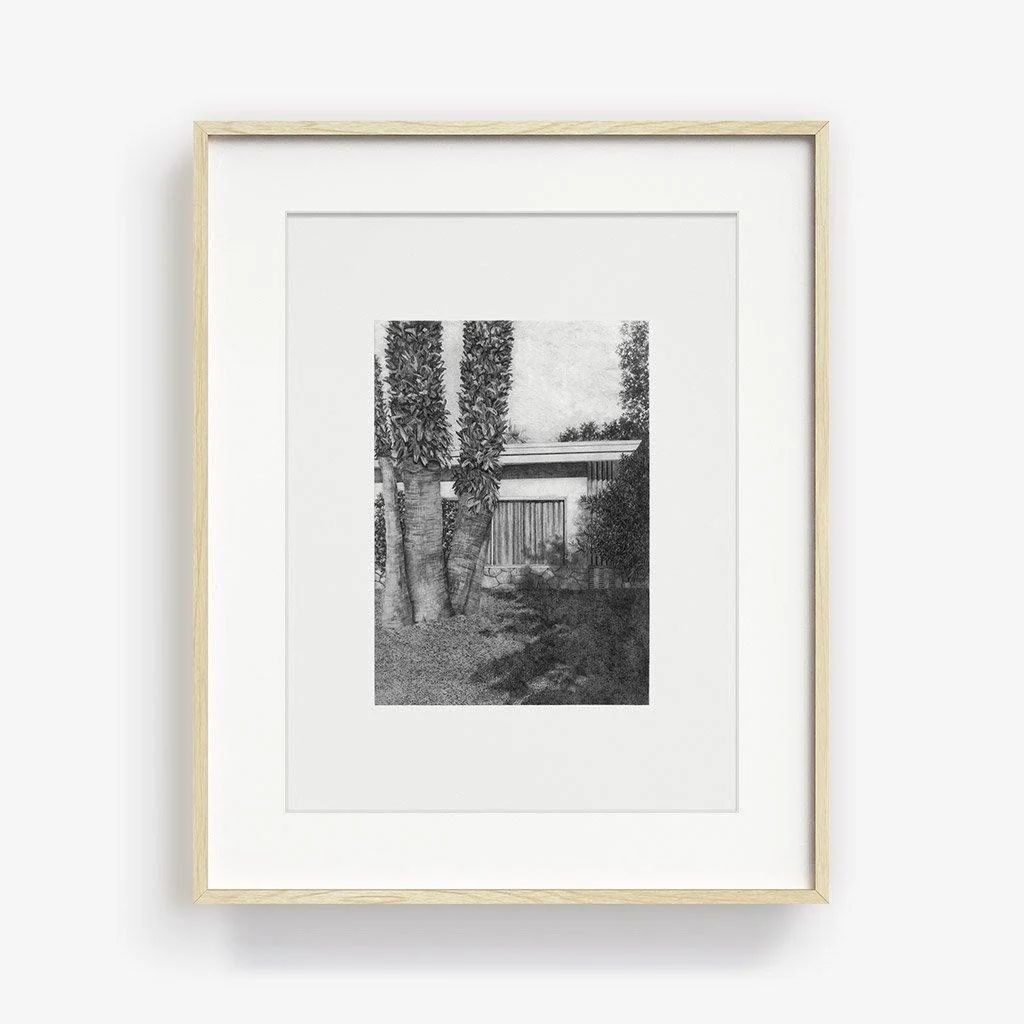 Jardin 4 - Image 6