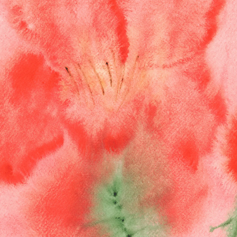 Juin - Image 3