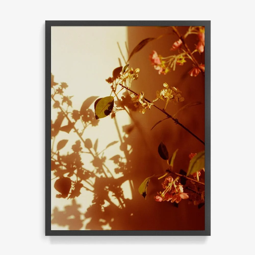 Kissed - Image 13