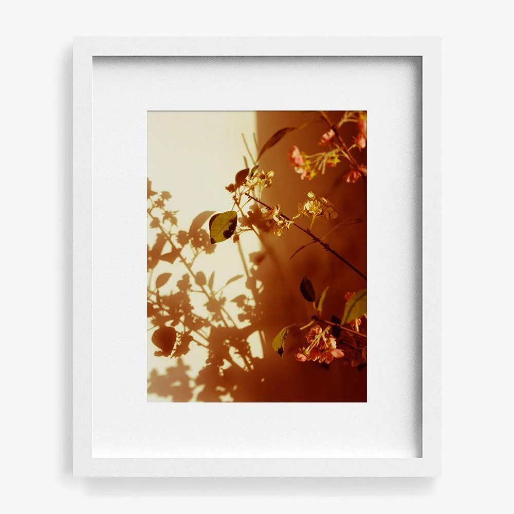 Kissed - Image 7