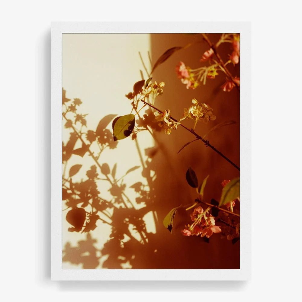 Kissed - Image 8