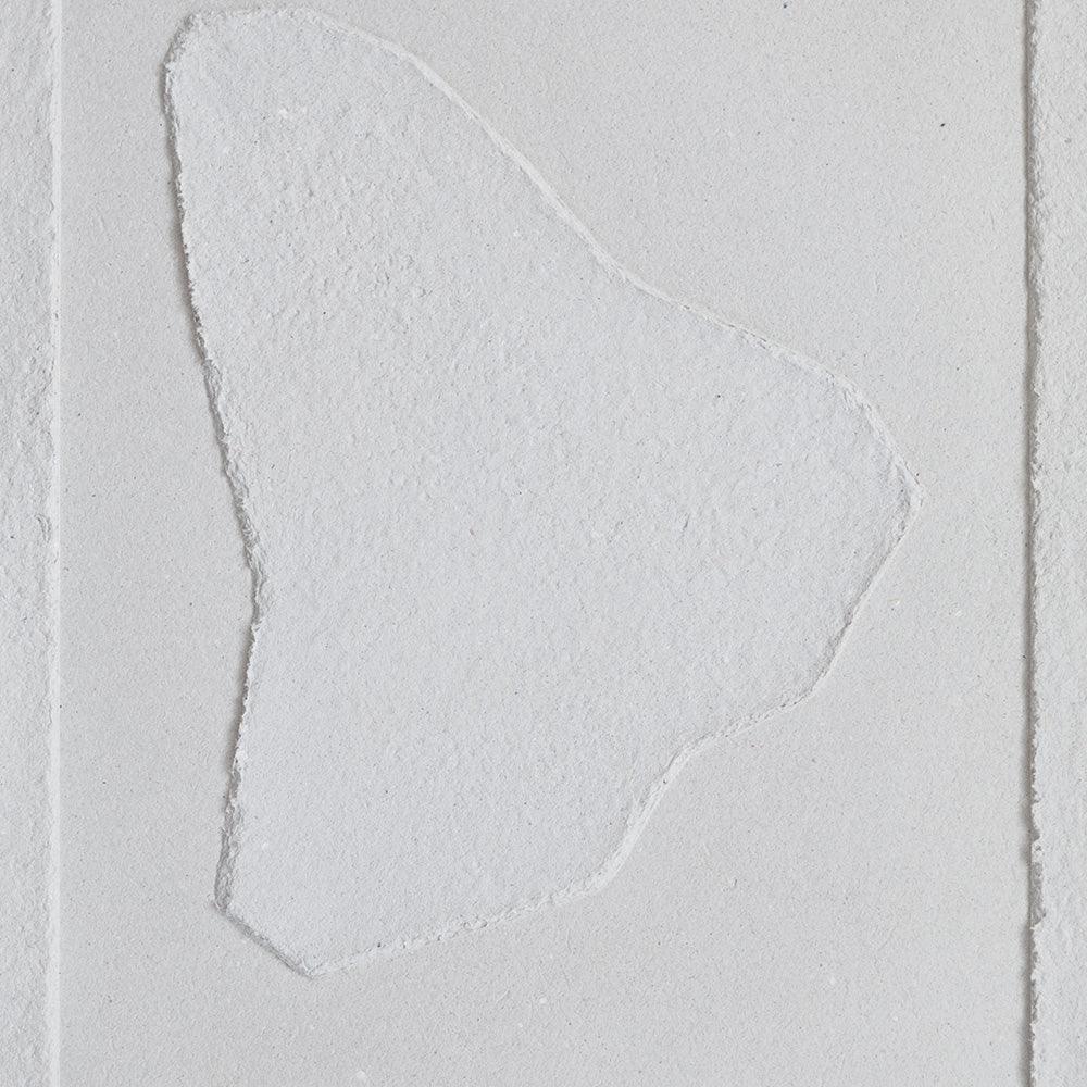 Kyiv Oblast Shape - Image 3