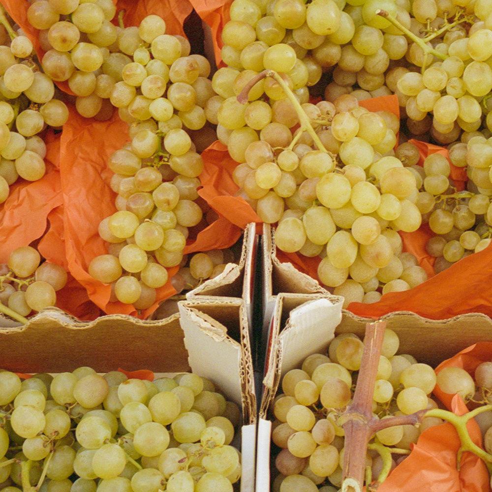 les raisins - Image 3