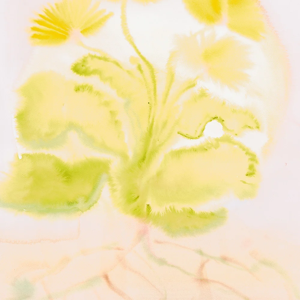 Life 03 - Image 3