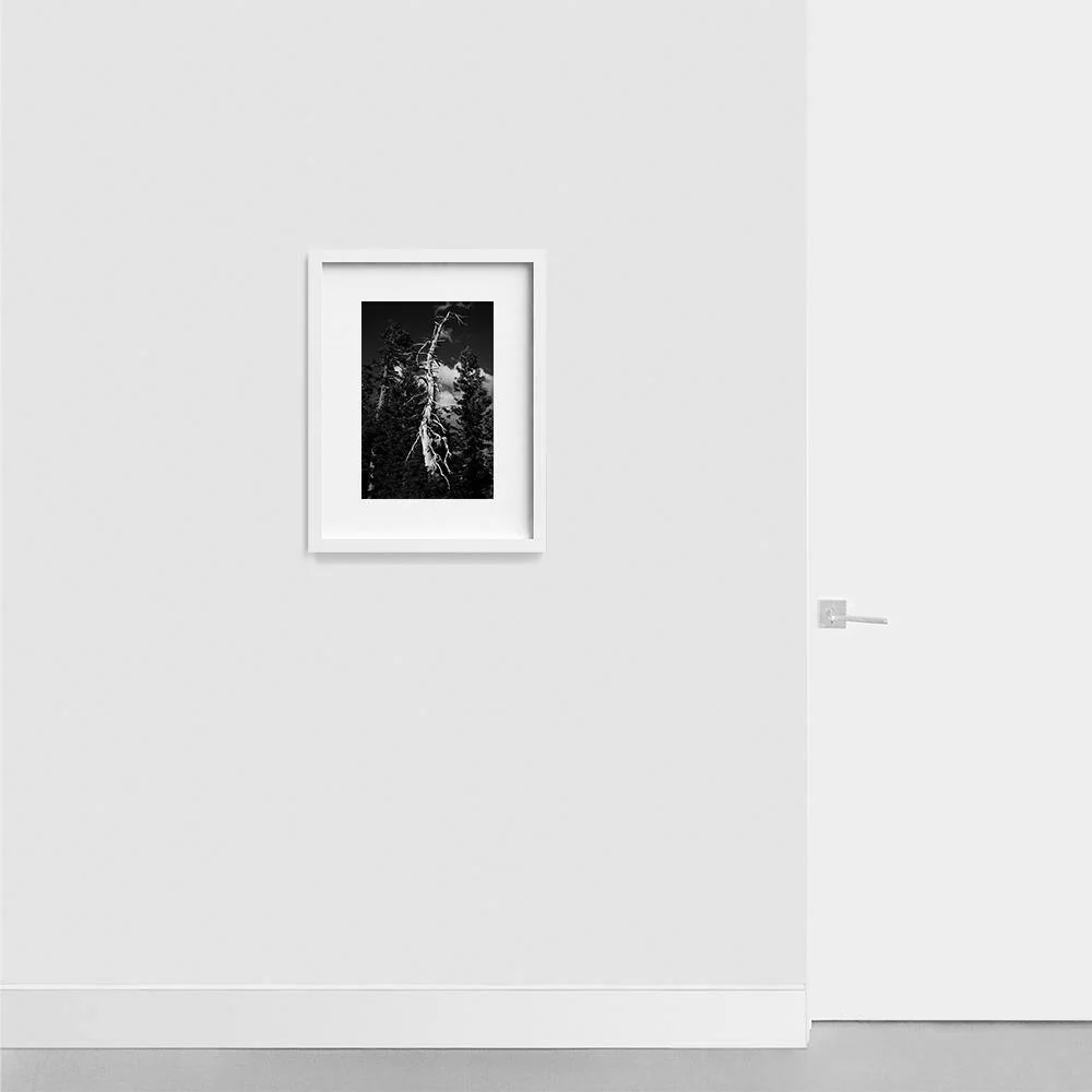 Life and Death - Image 5