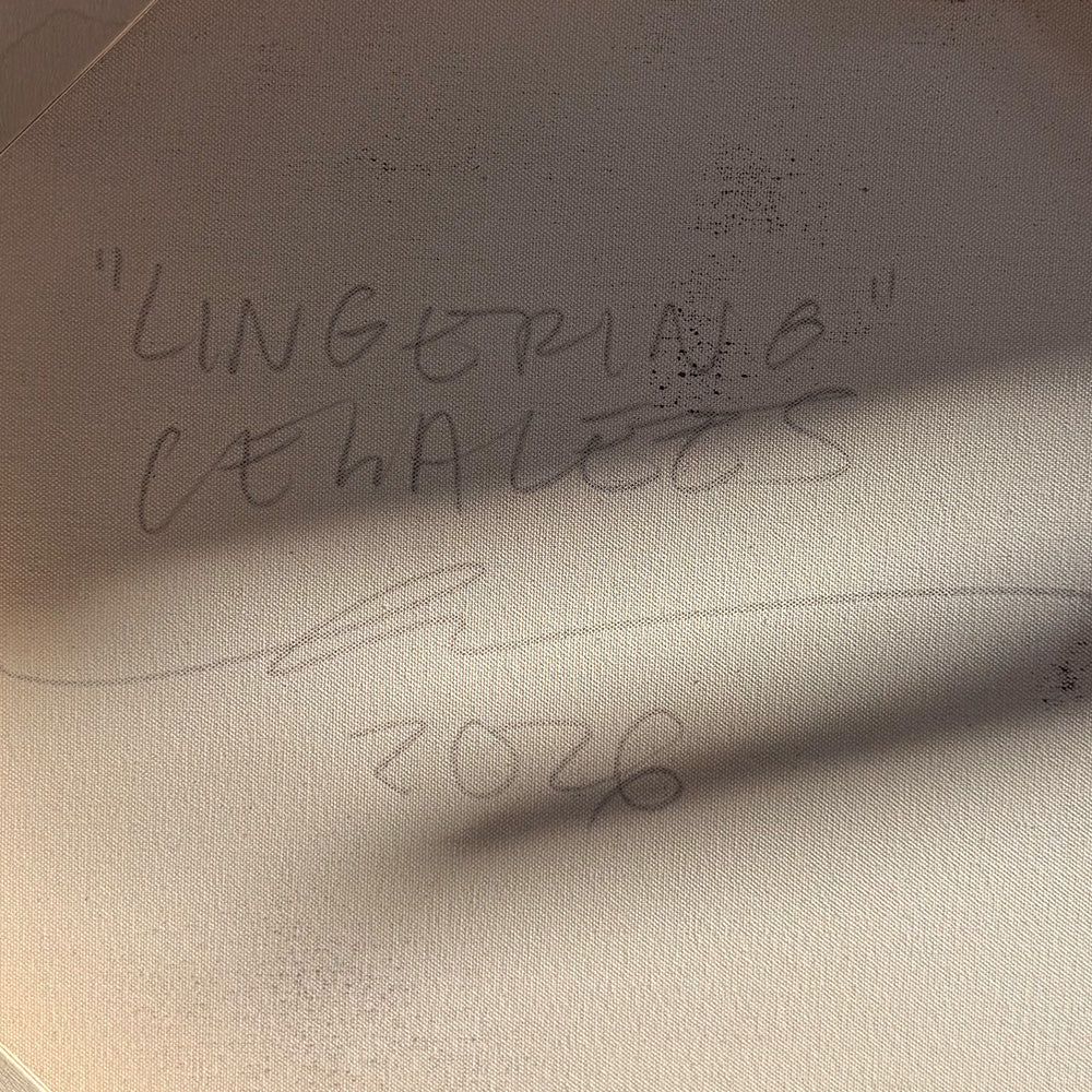 Lingering - Image 4