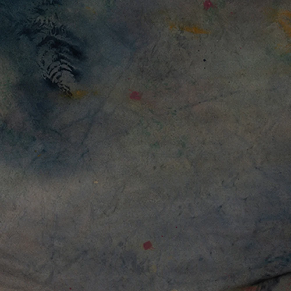 Lost in a Forest - Image 3