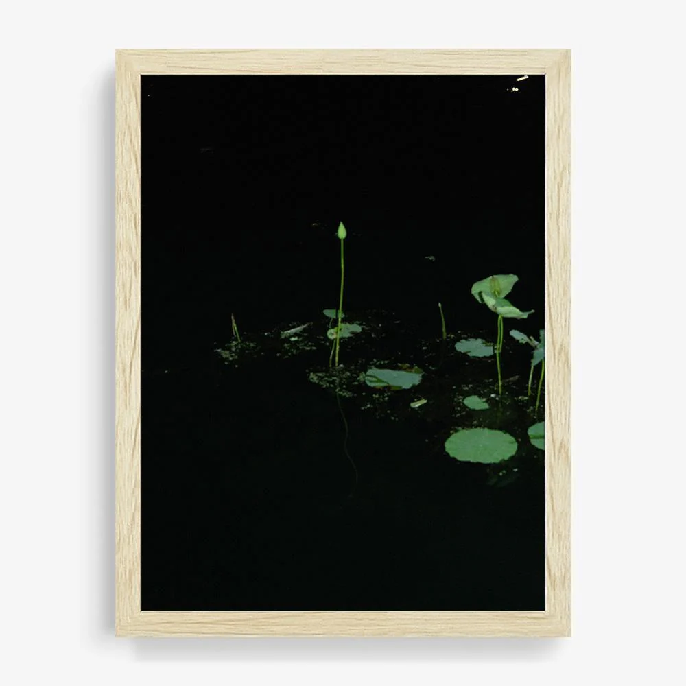 Love Echo - Image 10