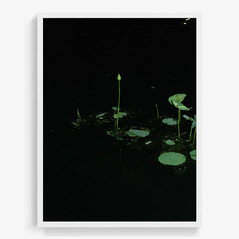 Love Echo - Image 15