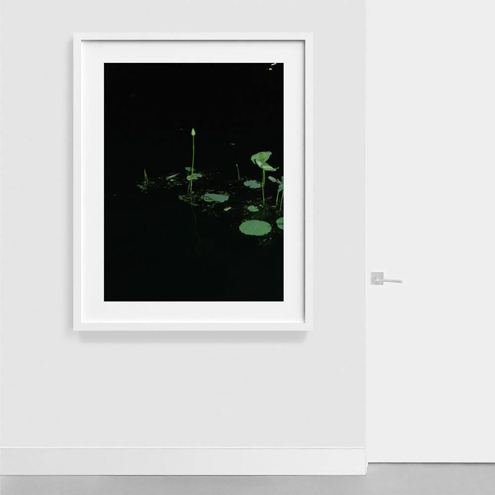 Love Echo - Image 18